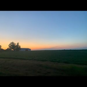 skeleton tee listing